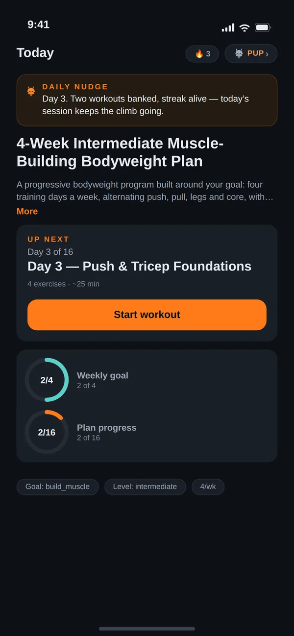 The Wulver home screen showing your current plan, the next workout, and weekly progress